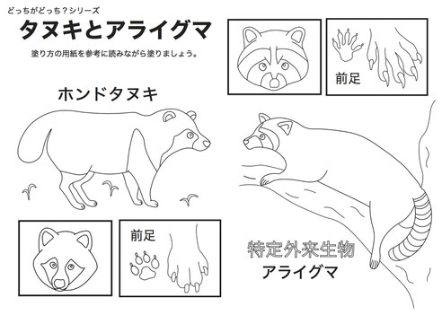 動物の塗り絵教材 古瀬研究室 帝京科学大学 環境教育 インタープリテーション研究室 Furuse Lab
